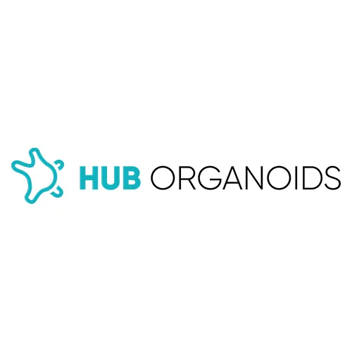 HUB Organoids